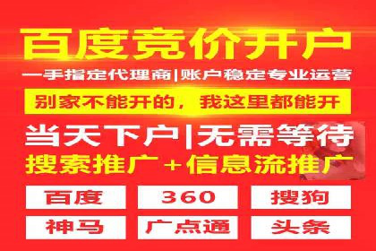 竞价SEM案例解析：电商行业营销策略